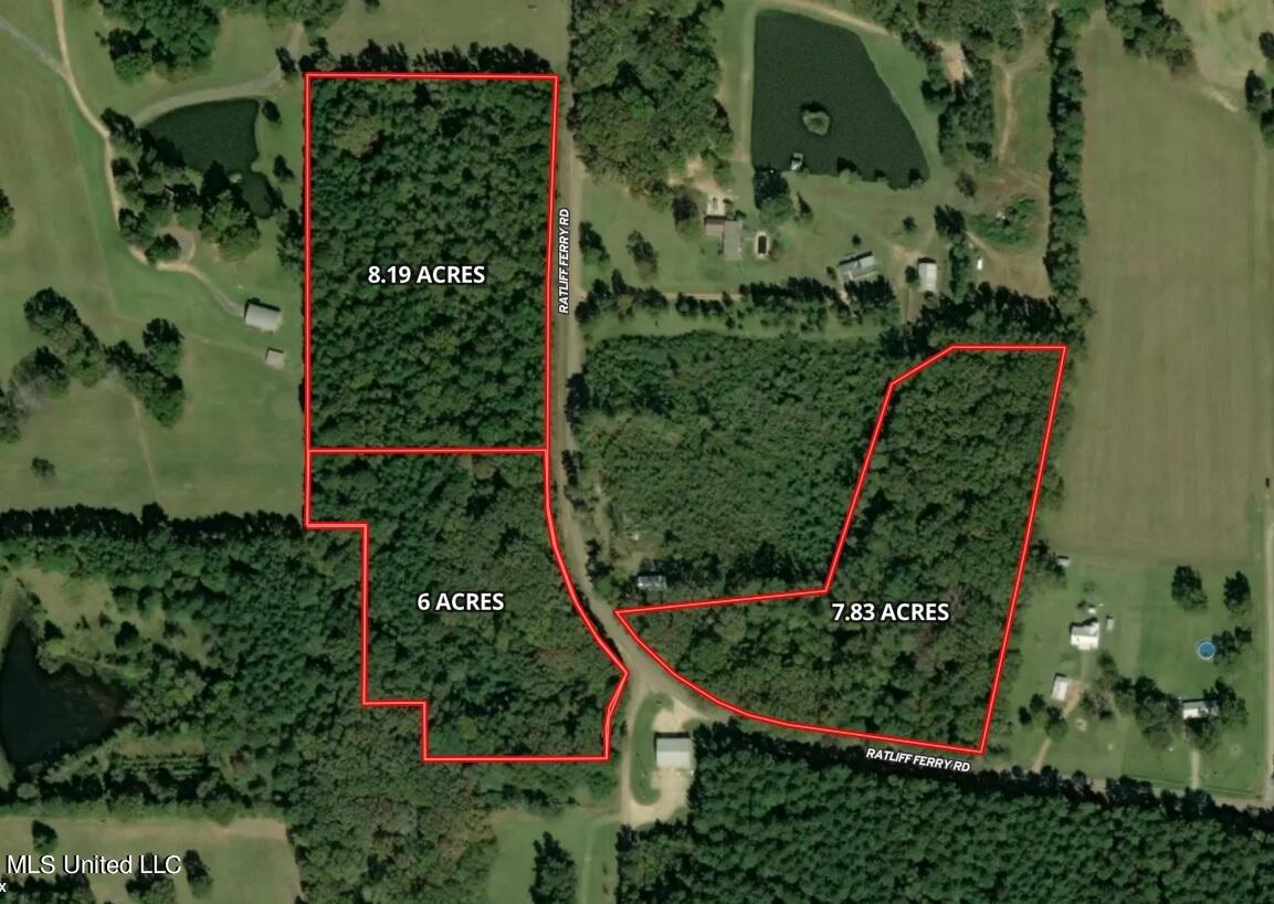 613 Ratliff Ferry Road Canton, MS 39046 - Photo 5 of 9 aerial