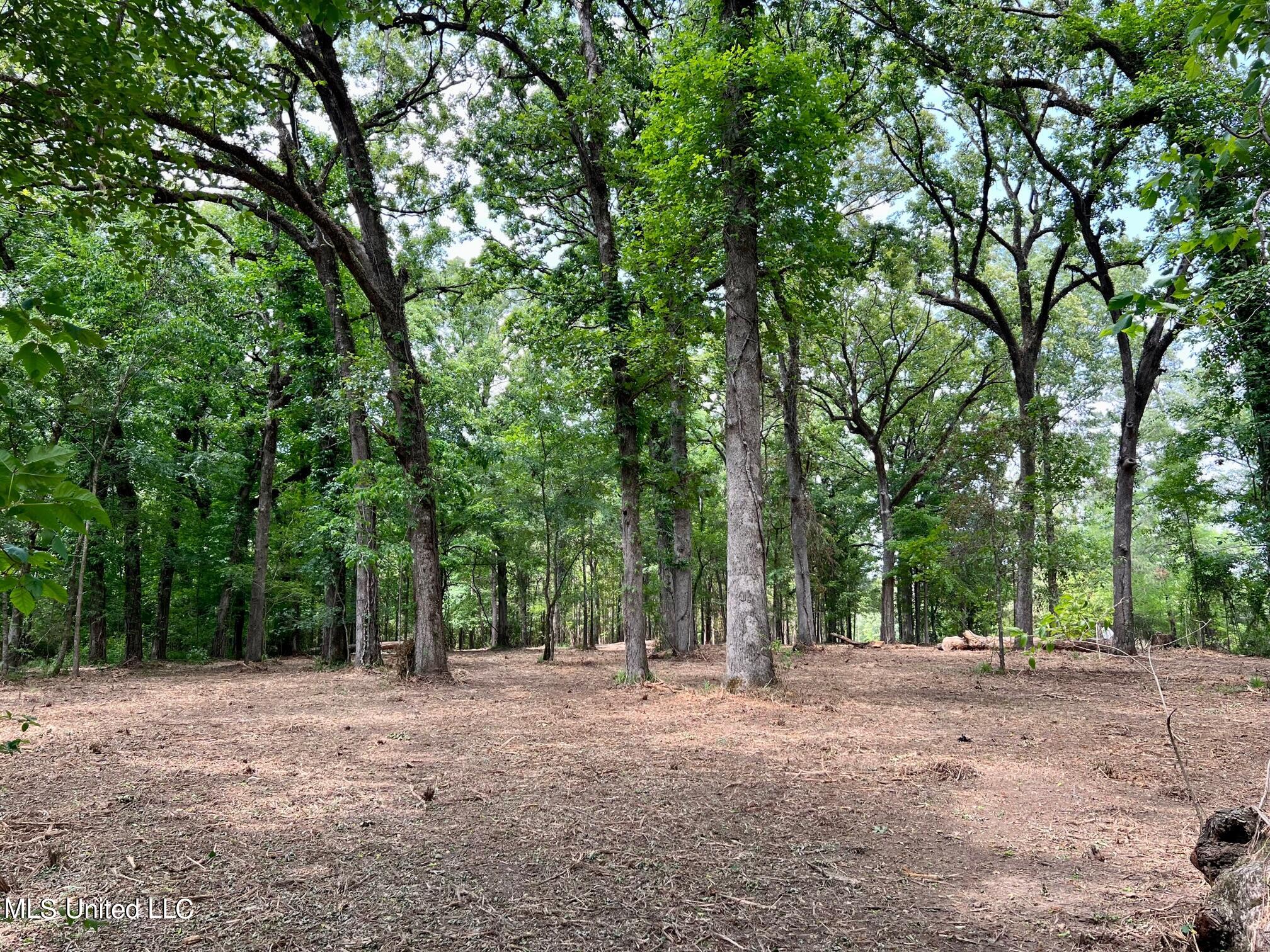 613 Ratliff Ferry Road Canton, MS 39046 - Photo 6 of 9 IMG_5937