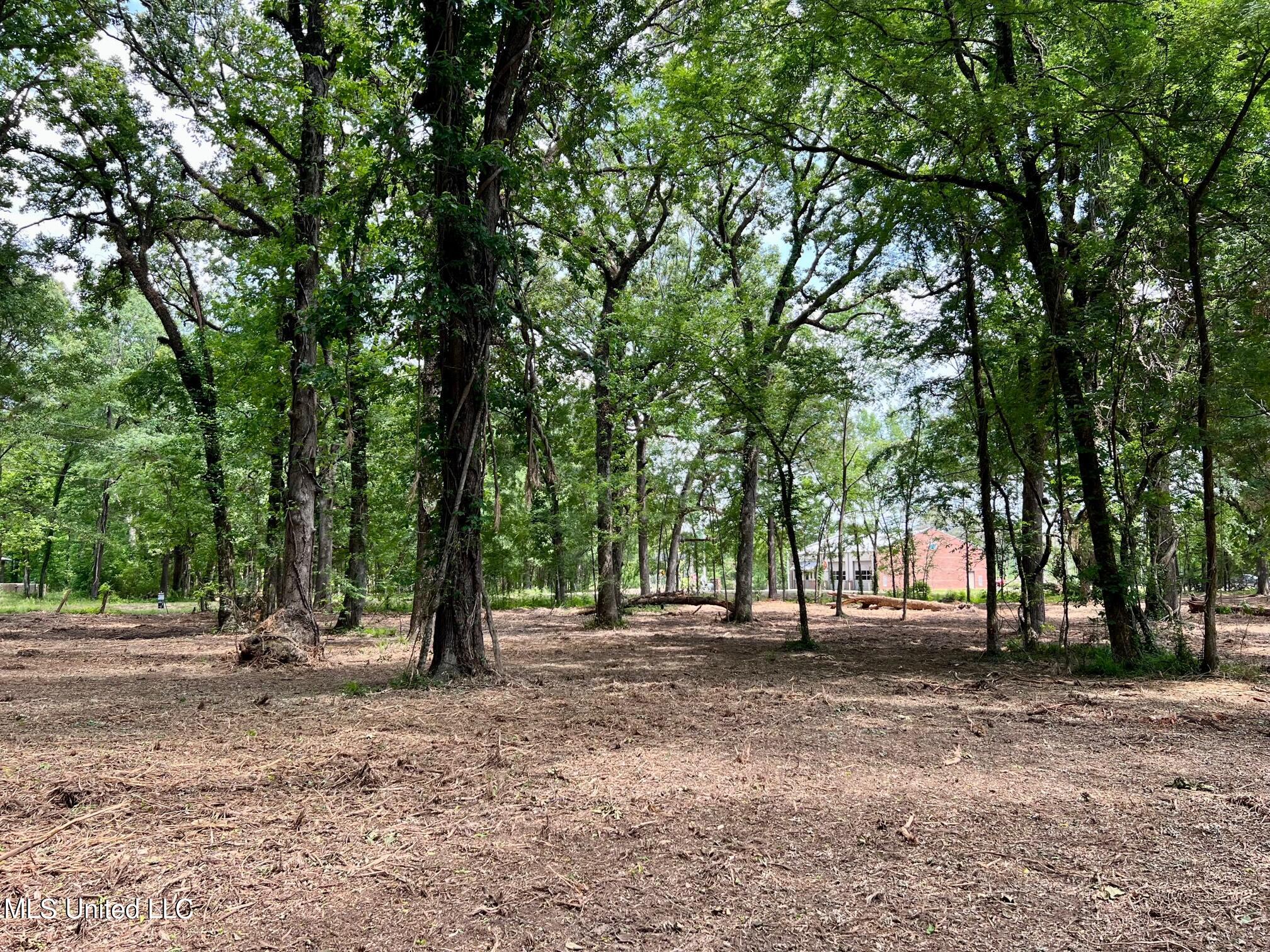 613 Ratliff Ferry Road Canton, MS 39046 - Photo 7 of 9 IMG_5939