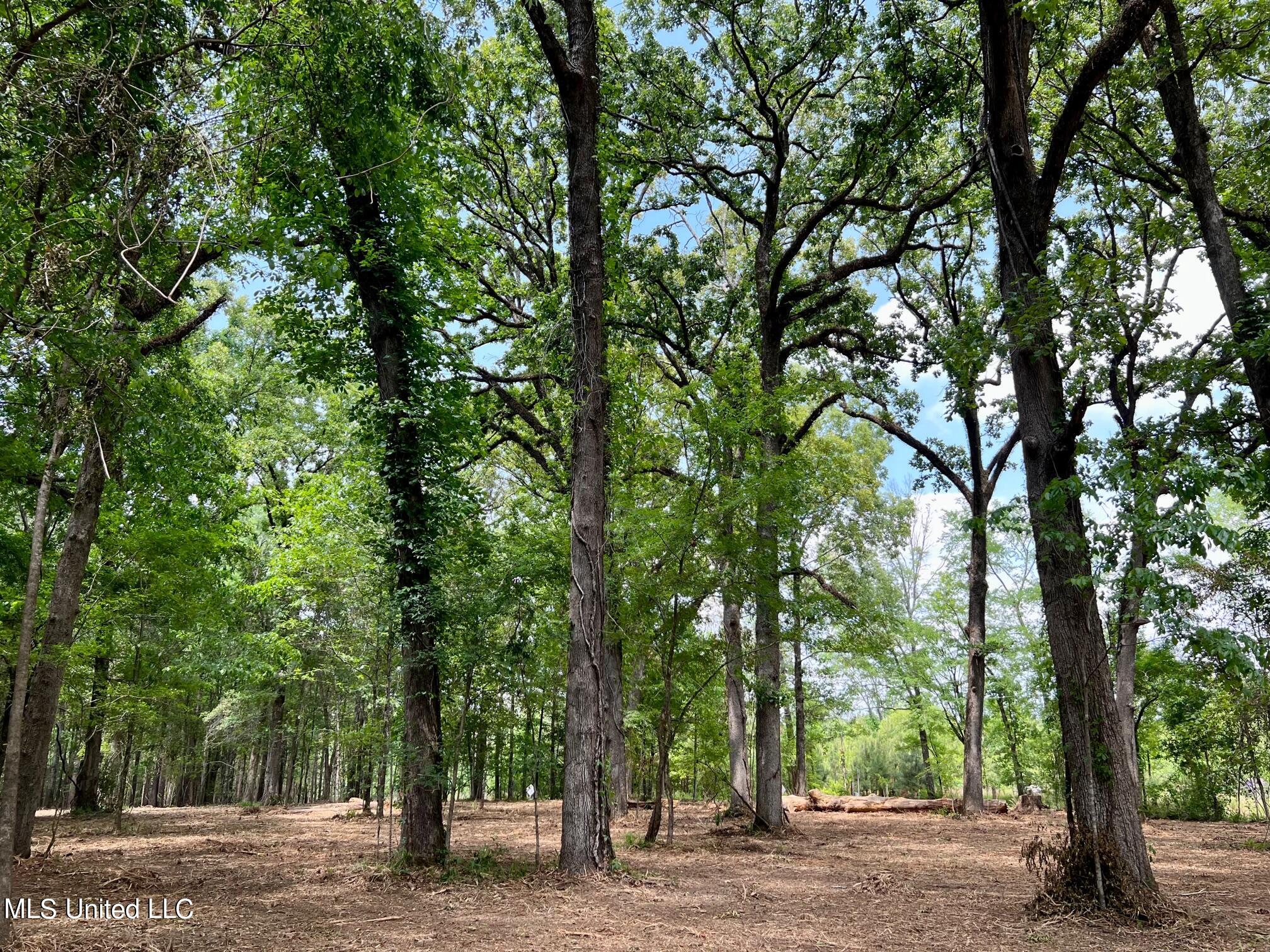 613 Ratliff Ferry Road Canton, MS 39046 - Photo 8 of 9 IMG_5940