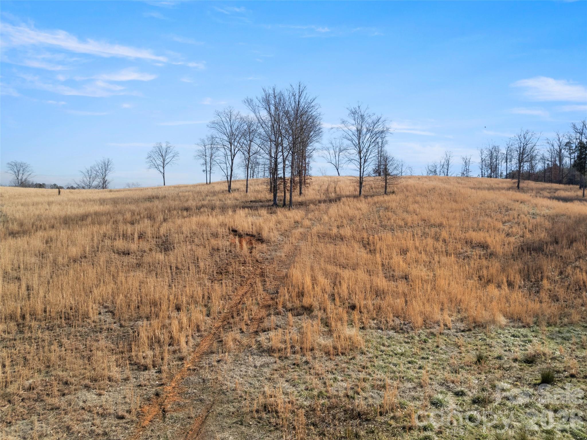 0 Stacey Road Rutherfordton, NC 28139 - Photo 16 of 24 a view of outdoor space and a yard
