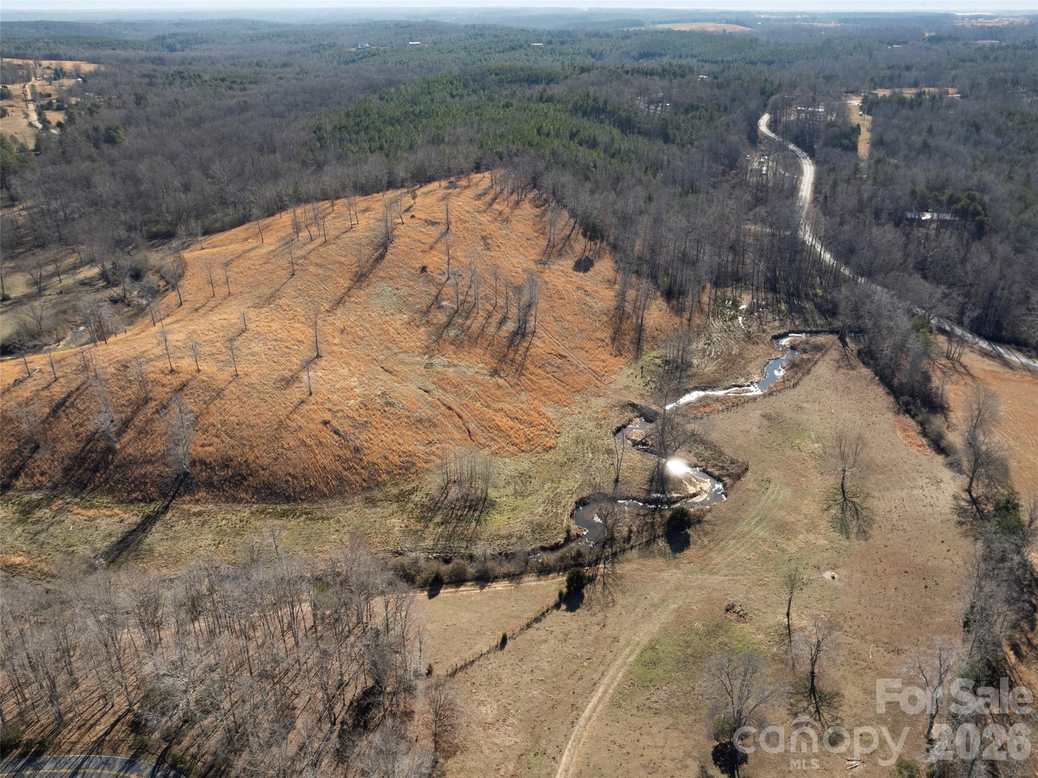 0 Stacey Road Rutherfordton, NC 28139 - Photo 4 of 24 a view of a dry yard