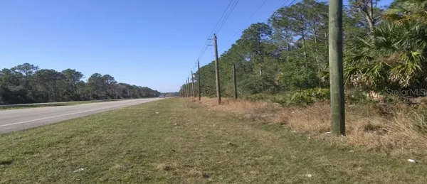 a view of a field with large trees
