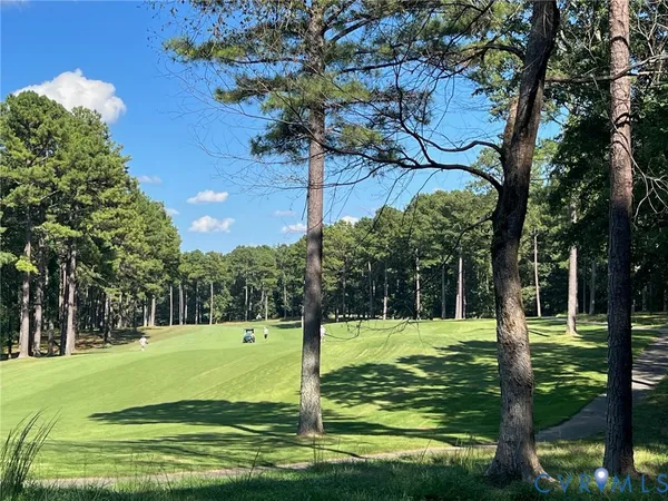 a view of a park with a tree