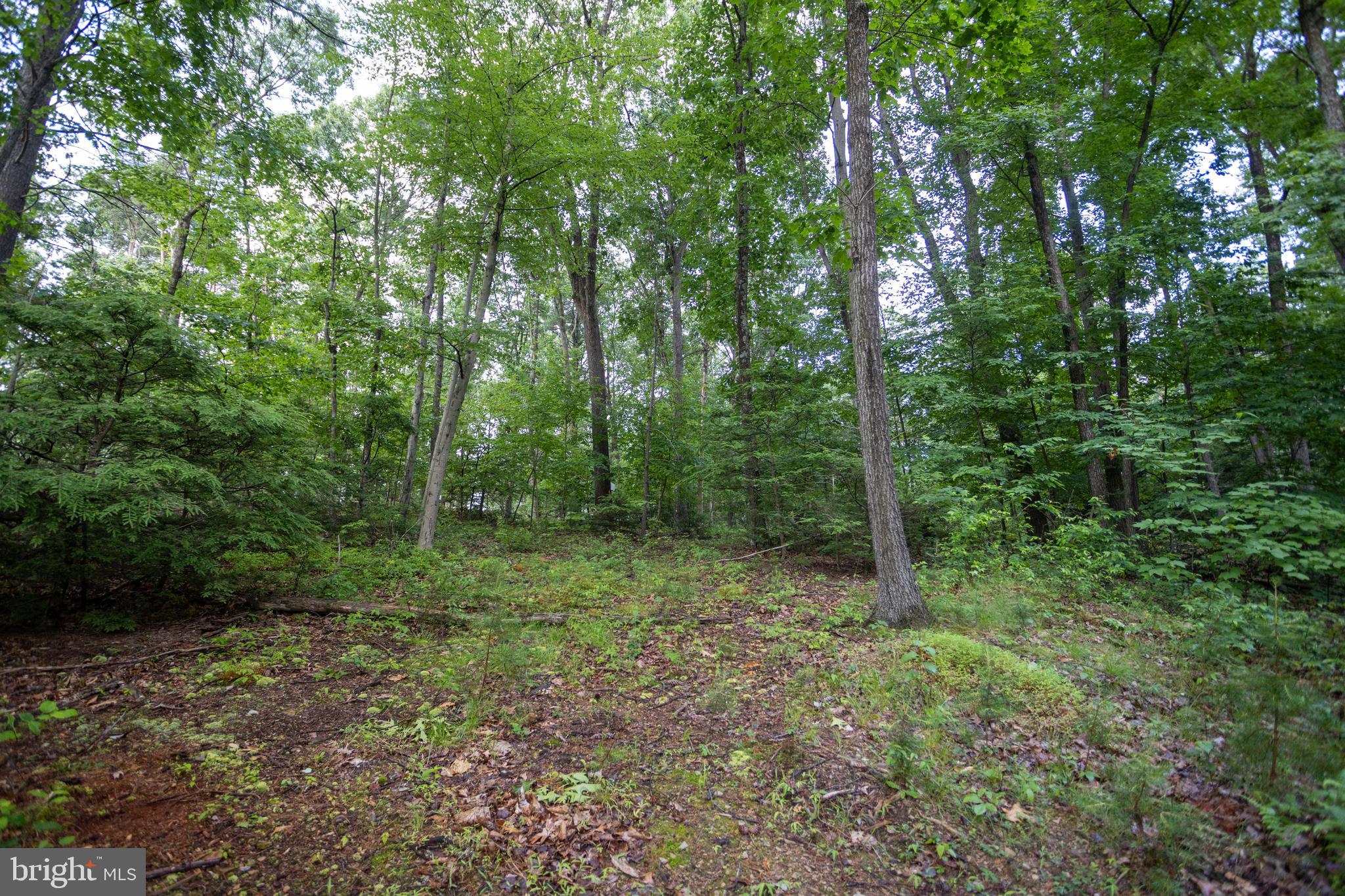 3125 Buckwheat Road Millerstown, PA 17062 - Photo 33 of 38