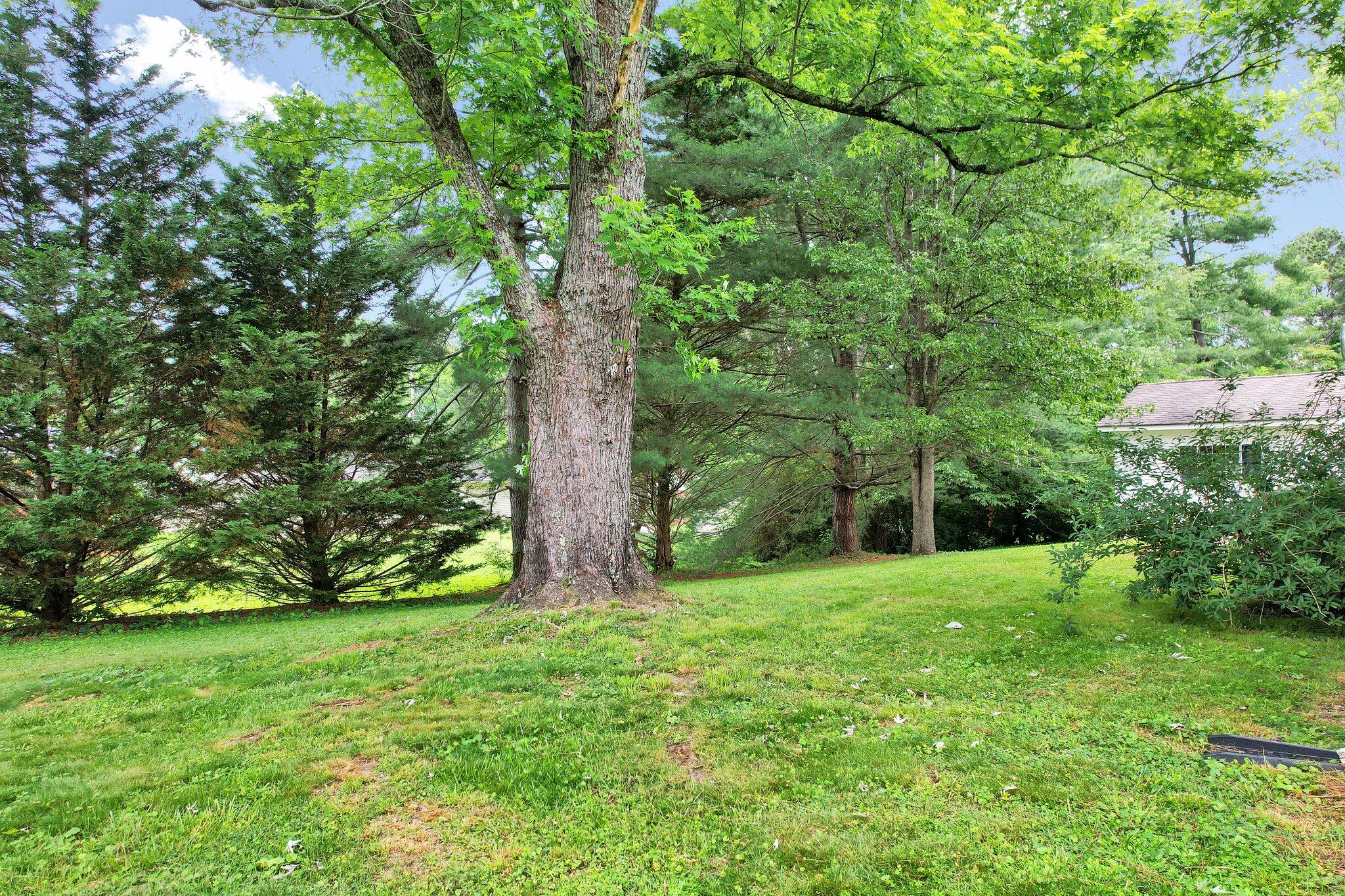 3743 Springdale Drive Northeast Cleveland, TN 37312 - Photo 8 of 47 8-web-or-mls-DJI_0848