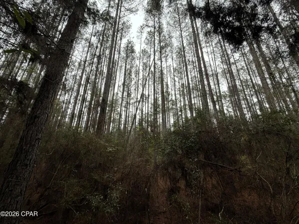 $229,000 | 0 Red Oak Lane, Bonifay, FL 32425