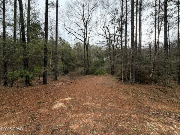 $229,000 | 0 Red Oak Lane, Bonifay, FL 32425