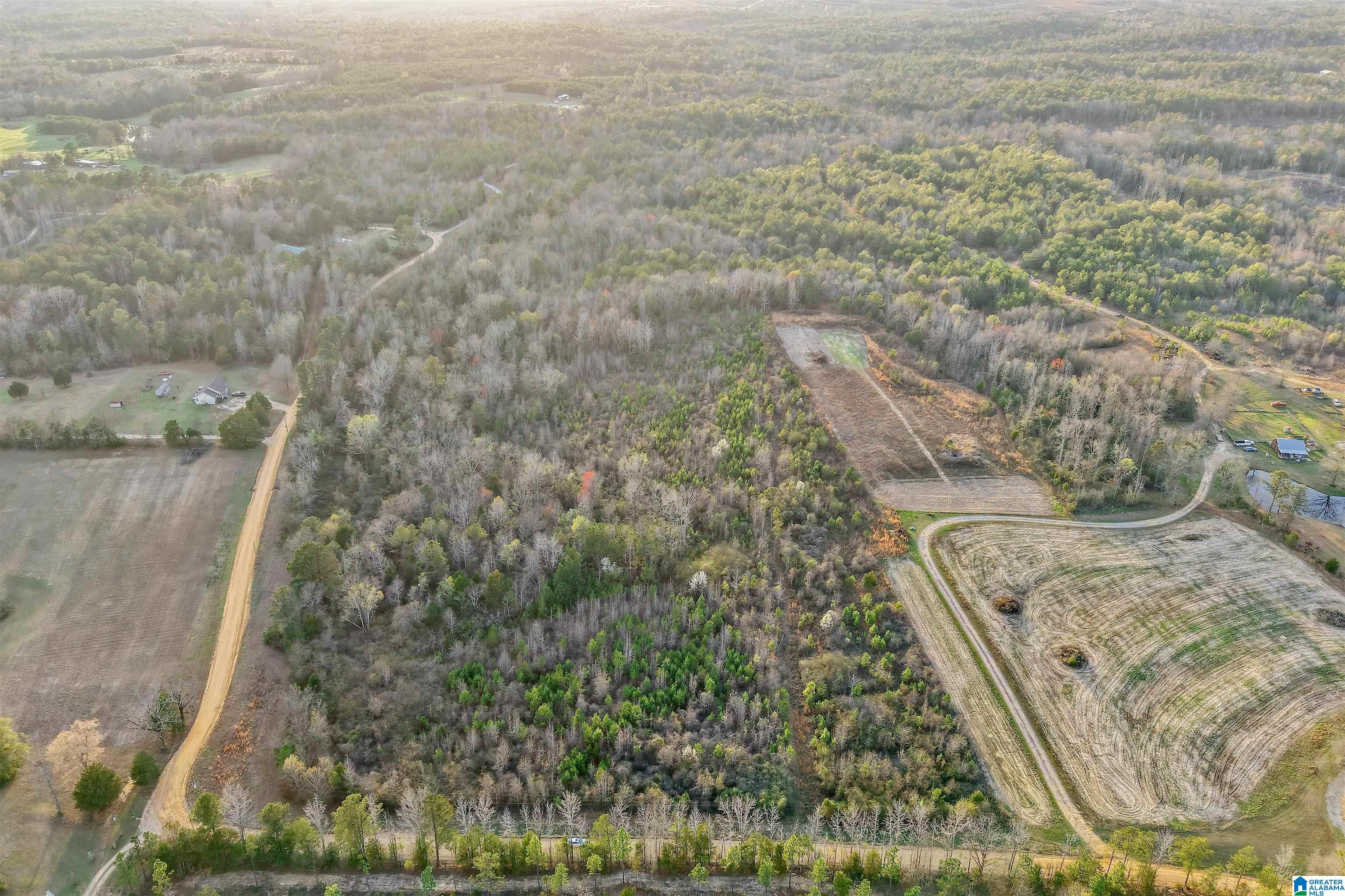 328 County Road, Unit 1 Prattville, AL 36067 - Photo 7 of 14