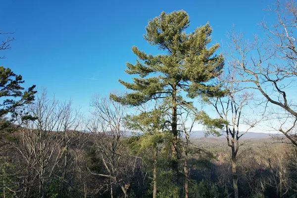 $329,900 | 1487 Morton Drive, Ellijay, GA 30540