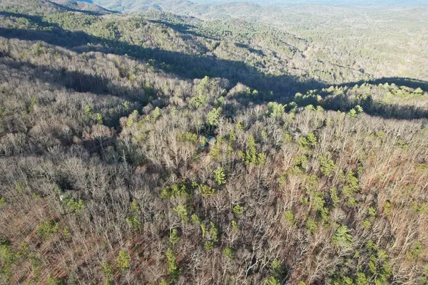 $329,900 | 1487 Morton Drive, Ellijay, GA 30540