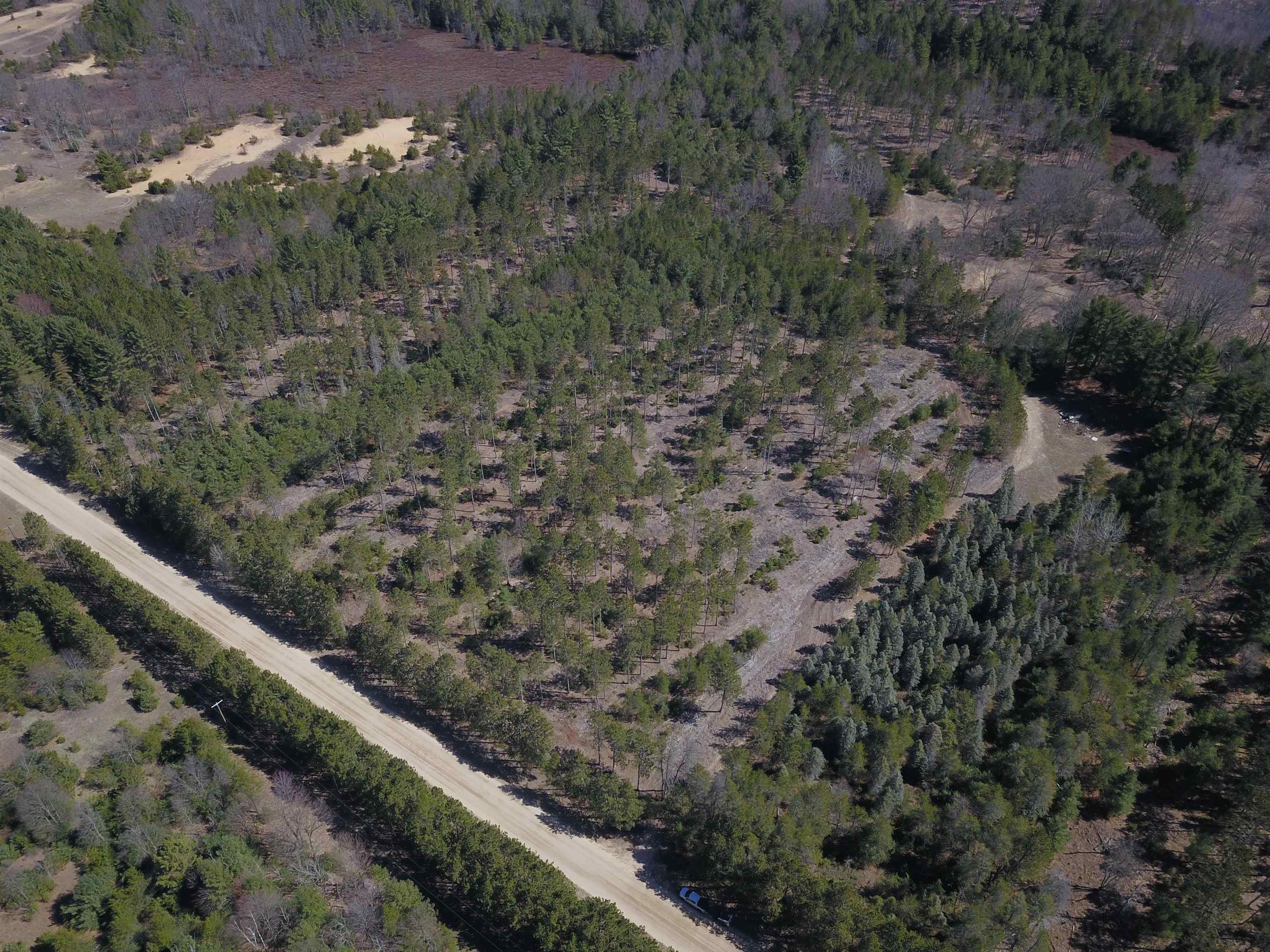 9.69-acres Niemi Road Kaleva, MI 49645 - Photo 18 of 30
