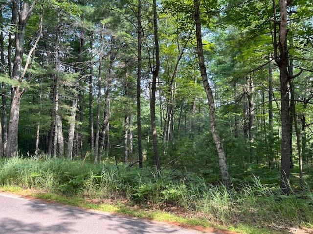 On Zeman Road Eagle River, WI 54521 - Photo 10 of 10 Gallery Image 10