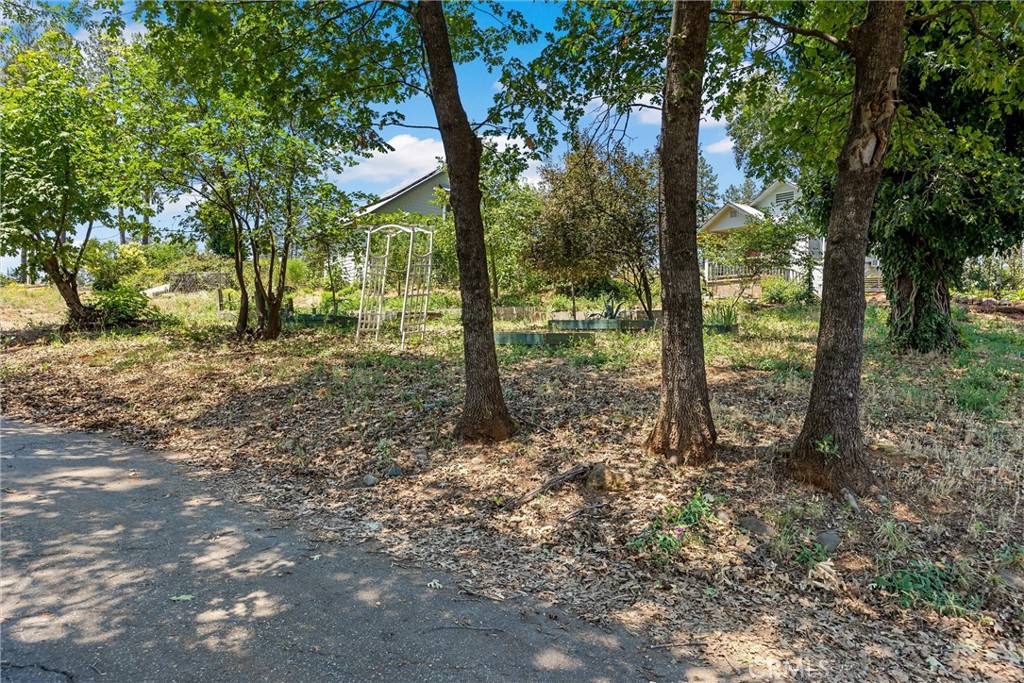 6251 Harvey Road Paradise, CA 95969 - Photo 5 of 15