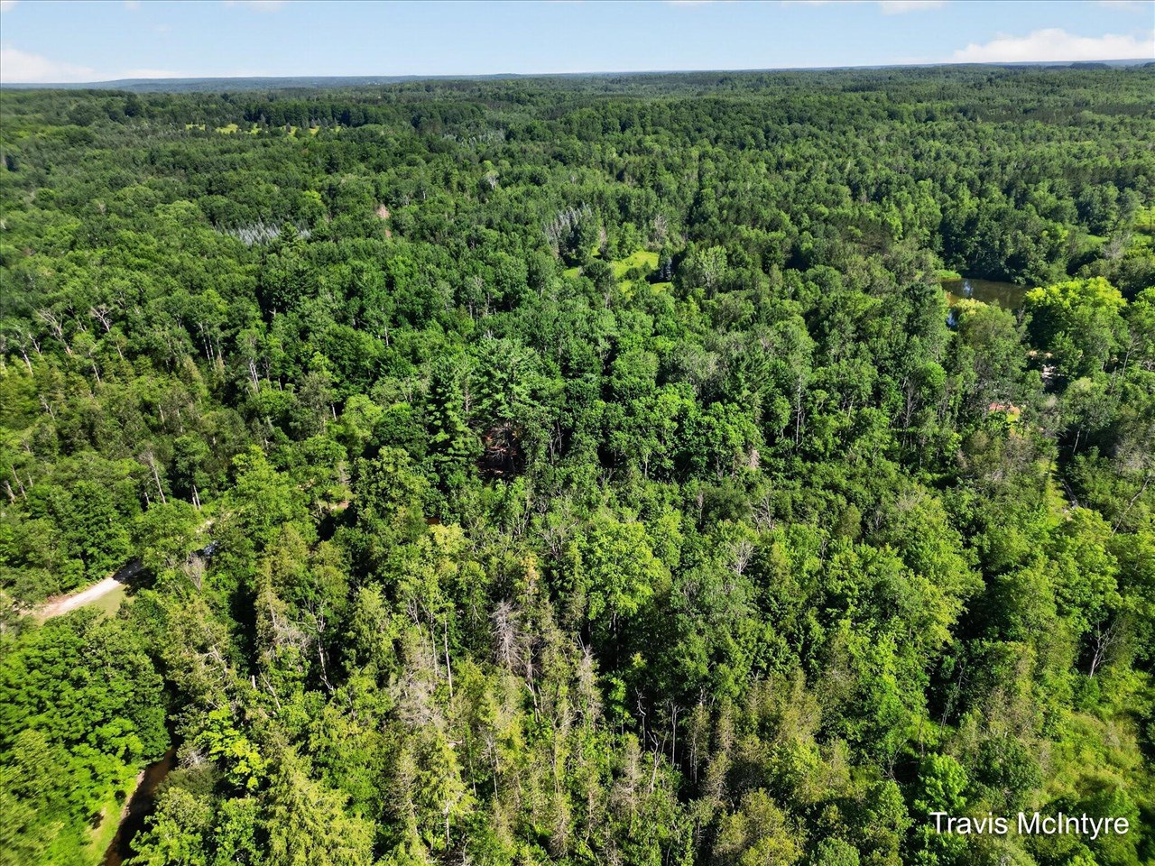 23473 17 Mile Road Leroy, MI 49655 - Photo 26 of 30
