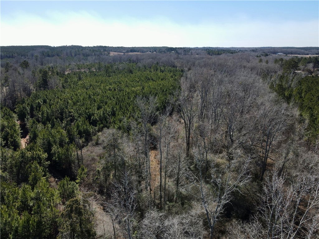 0 Brazell Road Camp Hill, AL 36850 - Photo 7 of 24 Gallery Image 7