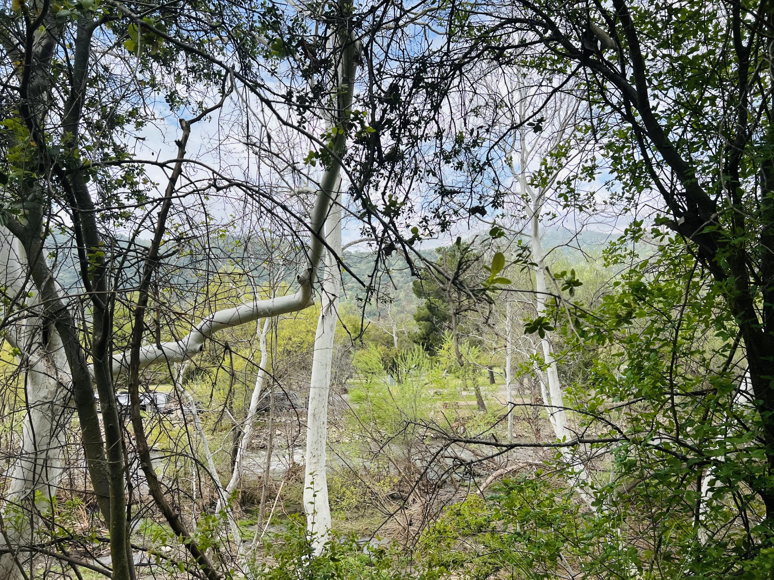 0 North Kaweah River Drive Three Rivers, CA 93271 - Photo 48 of 78 67DD658B-E1D2-44CB-BB1C-DABB9BE90DEE_1_2