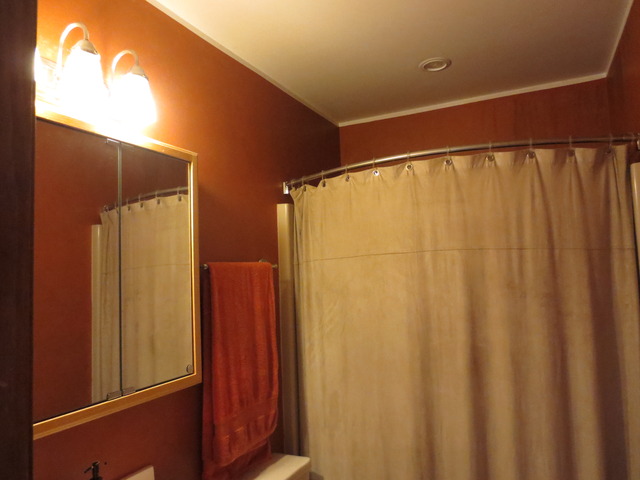 14820 South Penn Road Plainfield, IL 60544 - Photo 13 of 25 a bathroom with a shower and a shower curtain
