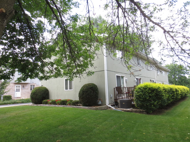 14820 South Penn Road Plainfield, IL 60544 - Photo 2 of 25 a view of a backyard with plants and large tree