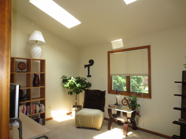14820 South Penn Road Plainfield, IL 60544 - Photo 10 of 25 a living room with furniture and a potted plant