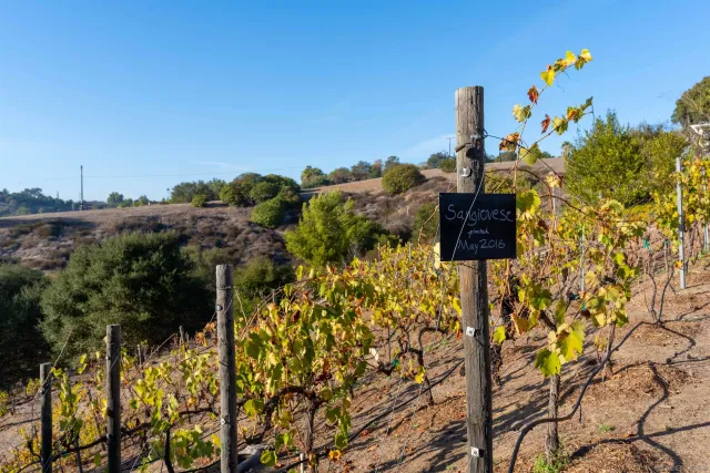 $1,599,900 | 4141 Palomar Drive, Fallbrook, CA 92028