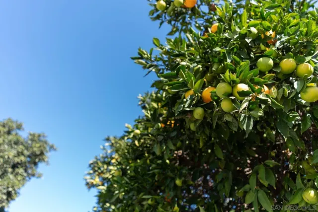 $1,699,000 | 4141 Palomar Drive, Fallbrook, CA 92028