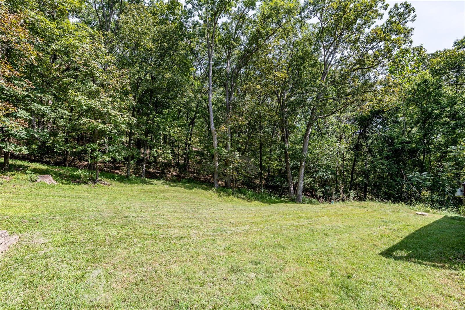 1319 Timber Terra Road Wildwood, MO 63021 - Photo 32 of 36 Gallery Image 32