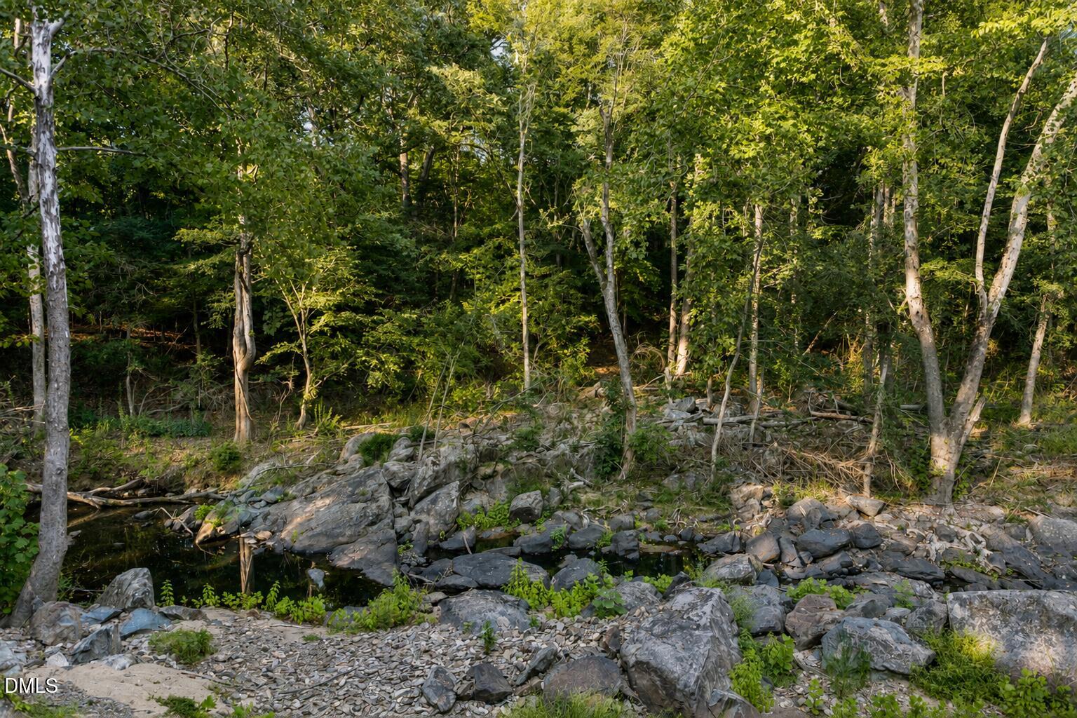 180 Hobbs Road Pittsboro, NC 27312 - Photo 67 of 76 Creek View 9