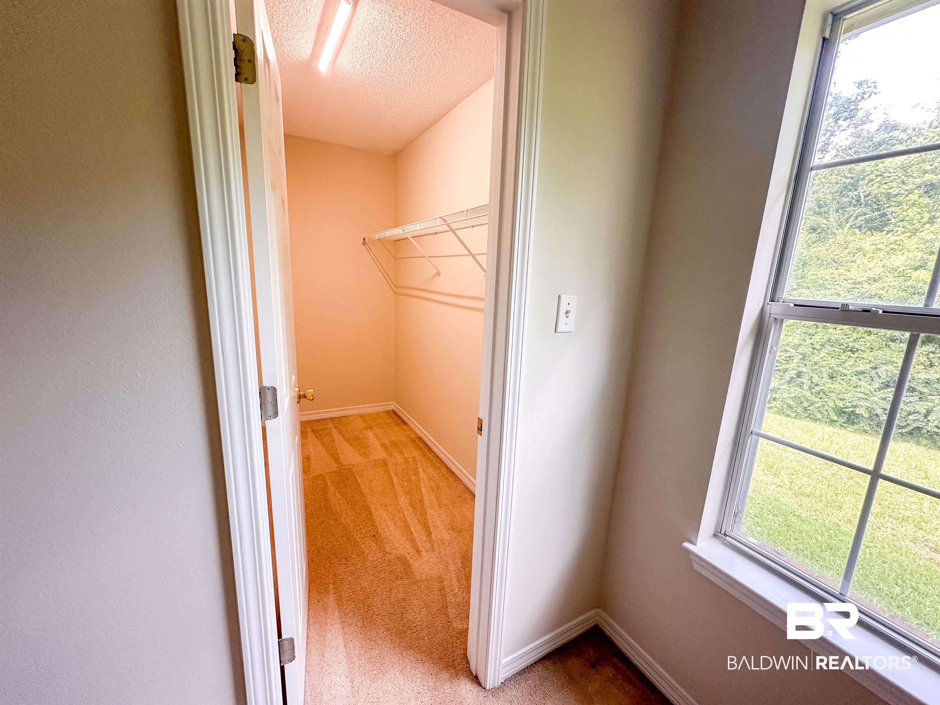 13255 Pointer Drive West Foley, AL 36535 - Photo 21 of 25 Walk in closet with carpet flooring