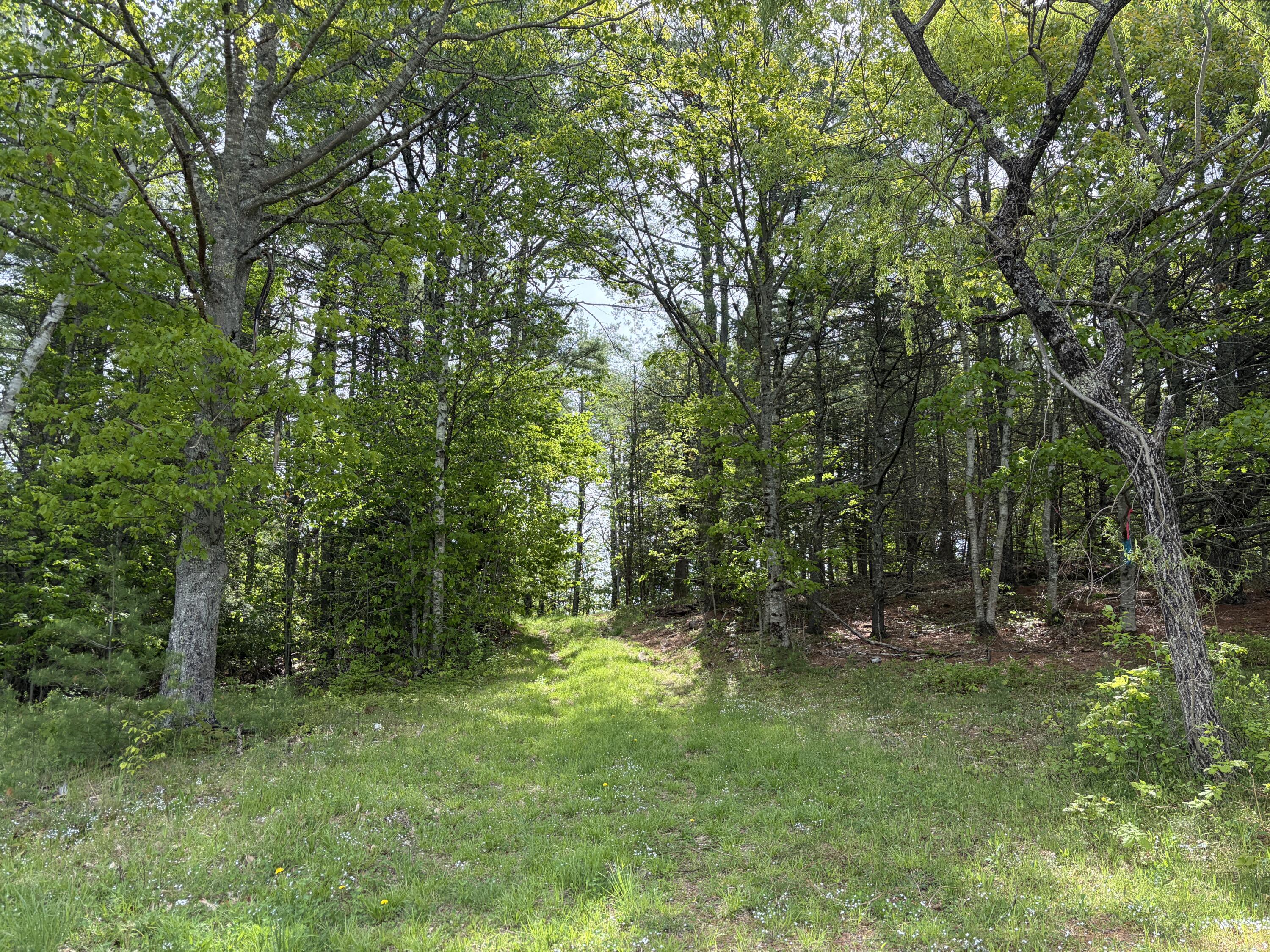 Lot 1 Waldoboro Road Washington, ME 04574 - Photo 24 of 39