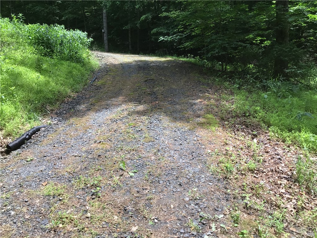 128 Hideaway Crumpler, NC 28617 - Photo 6 of 12