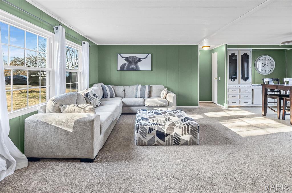 801 Scott Troy Road Lebanon, IL 62254 - Photo 20 of 41