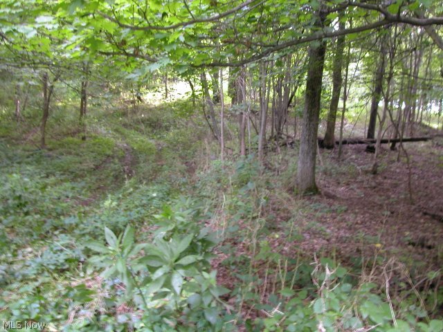 Newkirk Road Shreve, OH 44676 - Photo 8 of 12 Gallery Image 8