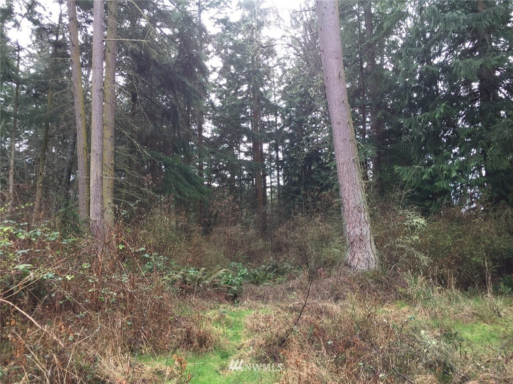 24 Squire Road Coupeville, WA 98239 - Photo 11 of 16 Gallery Image 11