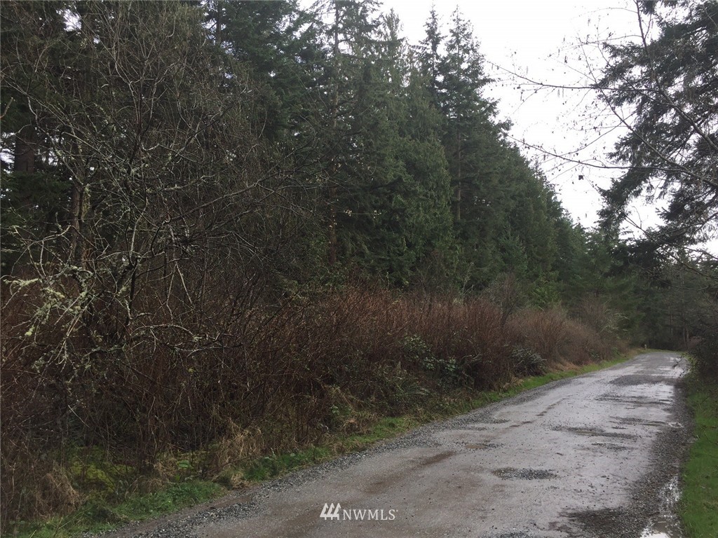 24 Squire Road Coupeville, WA 98239 - Photo 3 of 16 Gallery Image 3