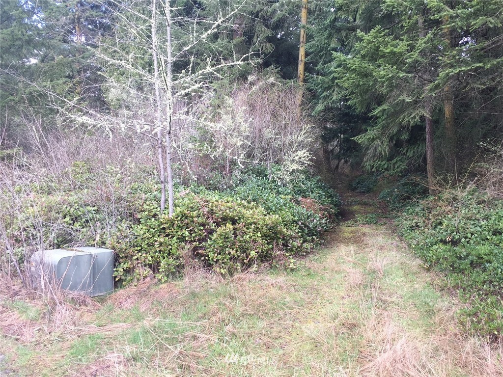 24 Squire Road Coupeville, WA 98239 - Photo 4 of 16 Gallery Image 4