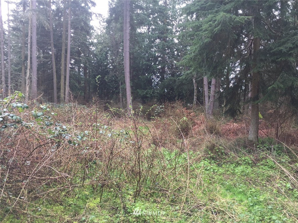 24 Squire Road Coupeville, WA 98239 - Photo 7 of 16 Gallery Image 7