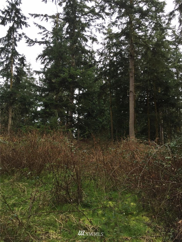 24 Squire Road Coupeville, WA 98239 - Photo 8 of 16 Gallery Image 8