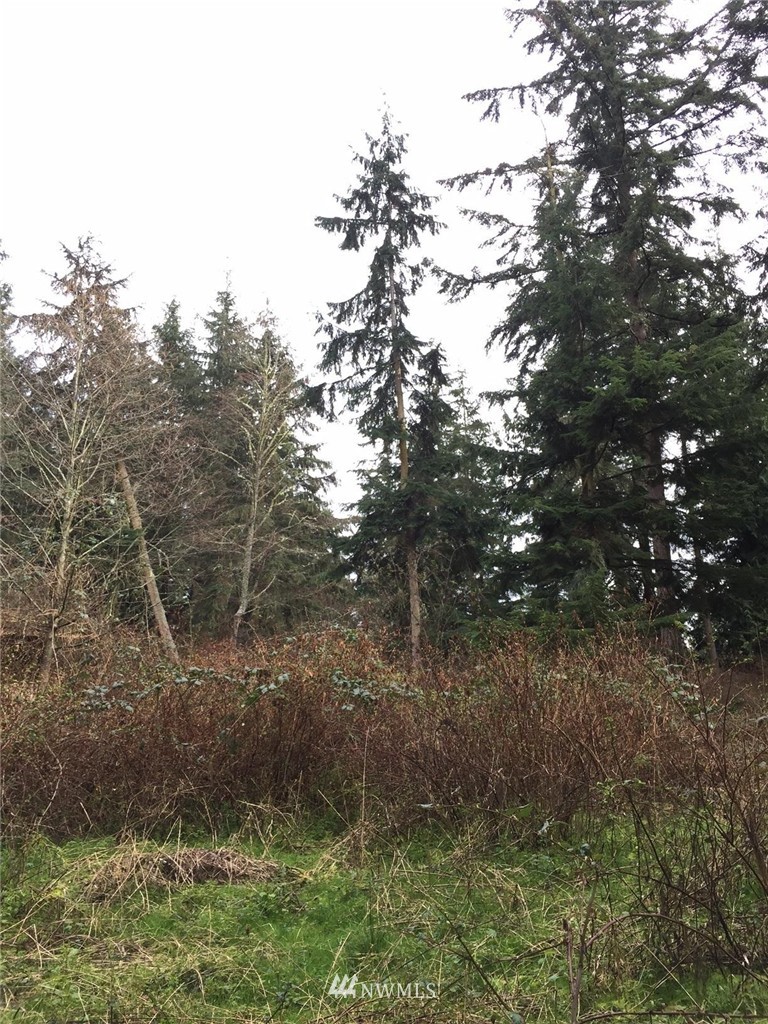 24 Squire Road Coupeville, WA 98239 - Photo 9 of 16 Gallery Image 9
