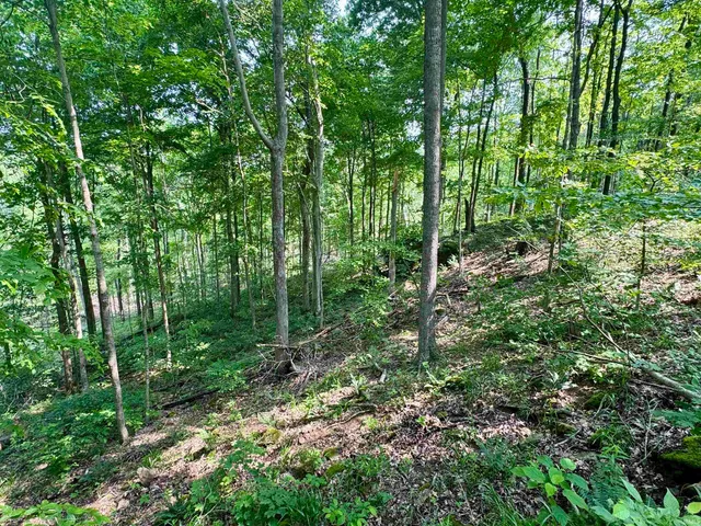 $216,480 | 1 State Road 237, English, IN 47118