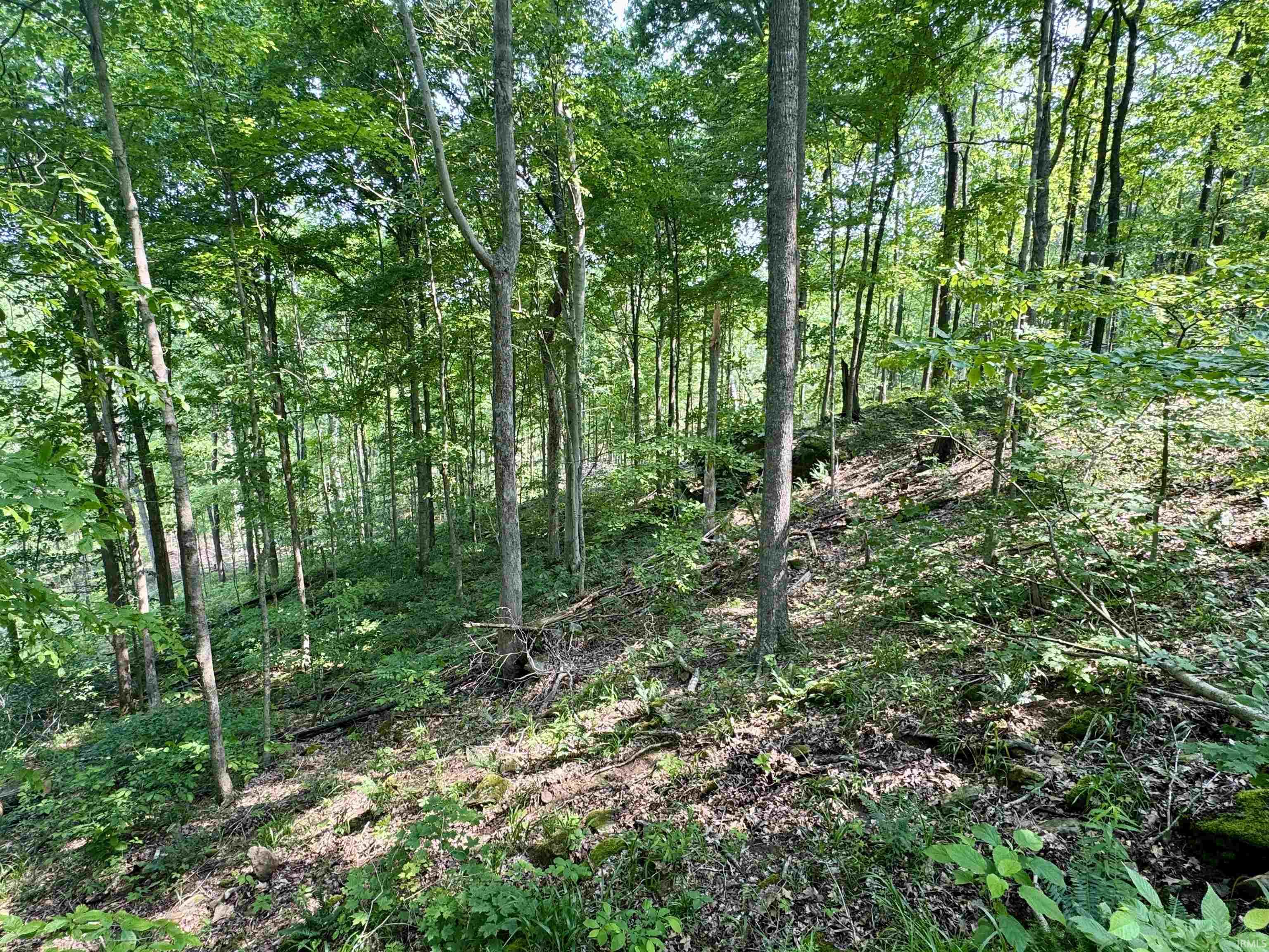 1 State Road 237 English, IN 47118 - Photo 11 of 18