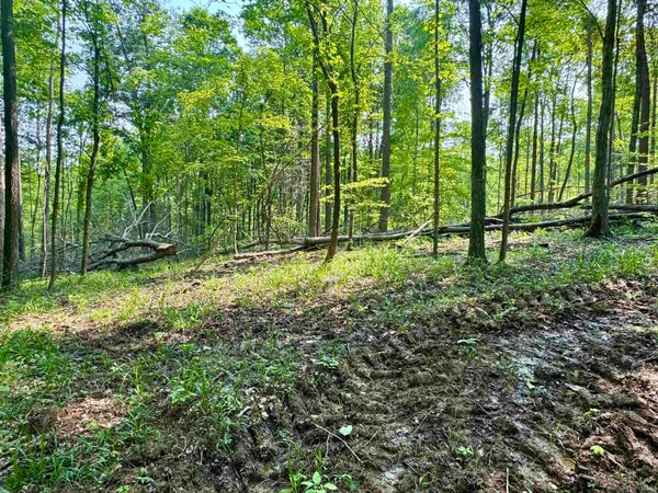 $231,900 | 1 State Road 237, English, IN 47118