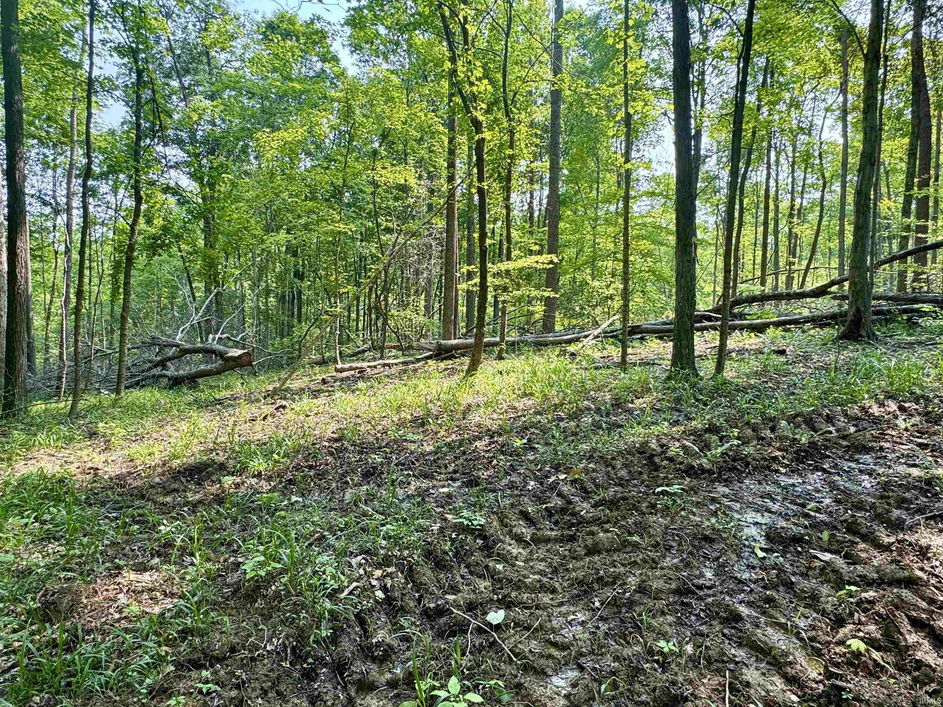 1 State Road 237 English, IN 47118 - Photo 12 of 18