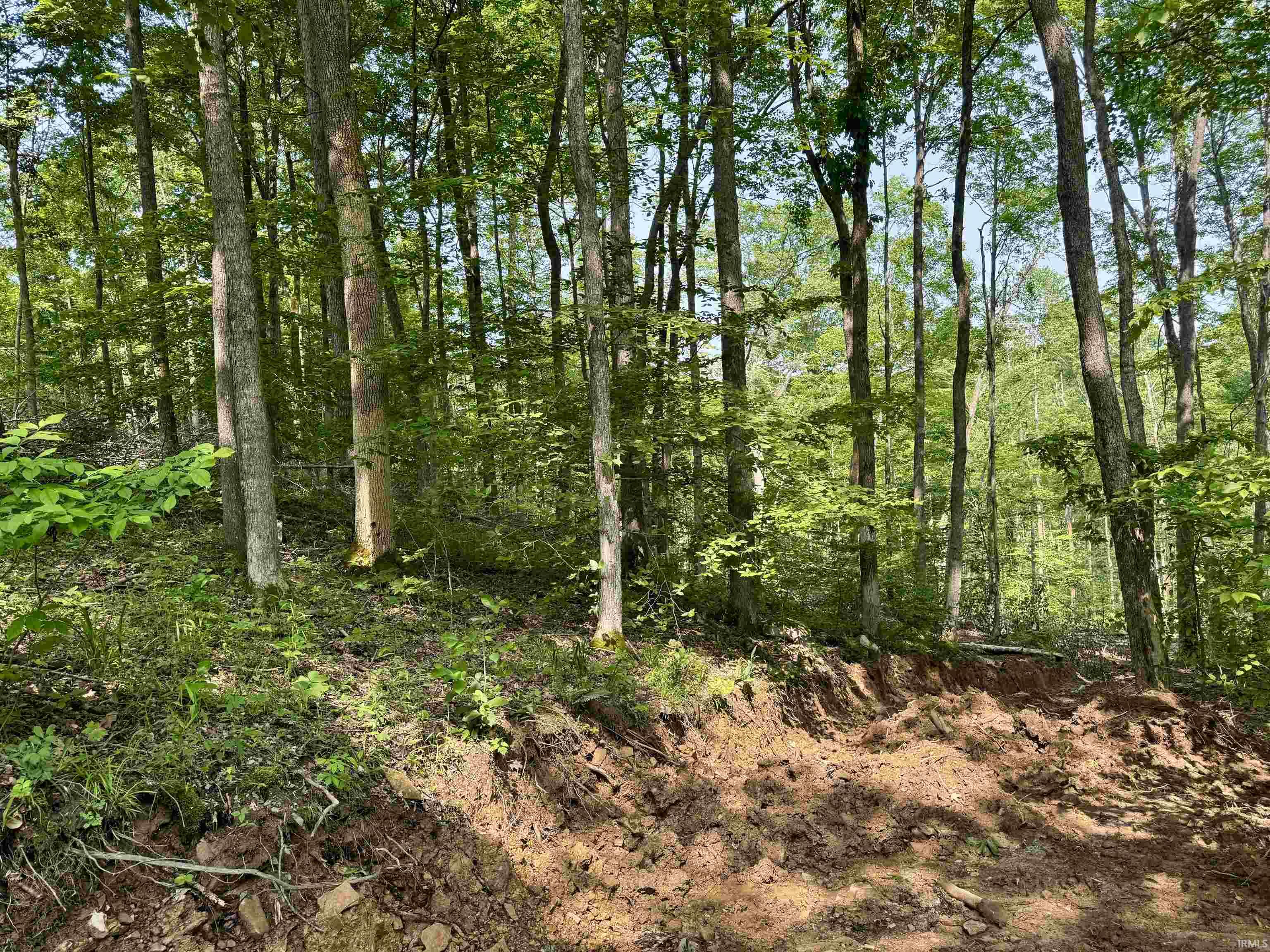 1 State Road 237 English, IN 47118 - Photo 13 of 18