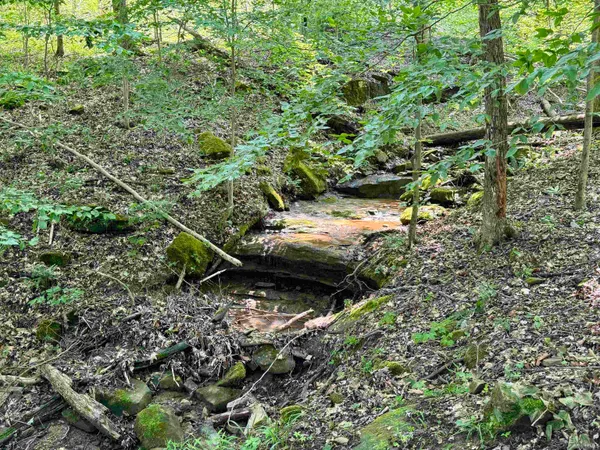 $231,900 | 1 State Road 237, English, IN 47118