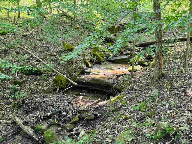 $216,480 | 1 State Road 237, English, IN 47118