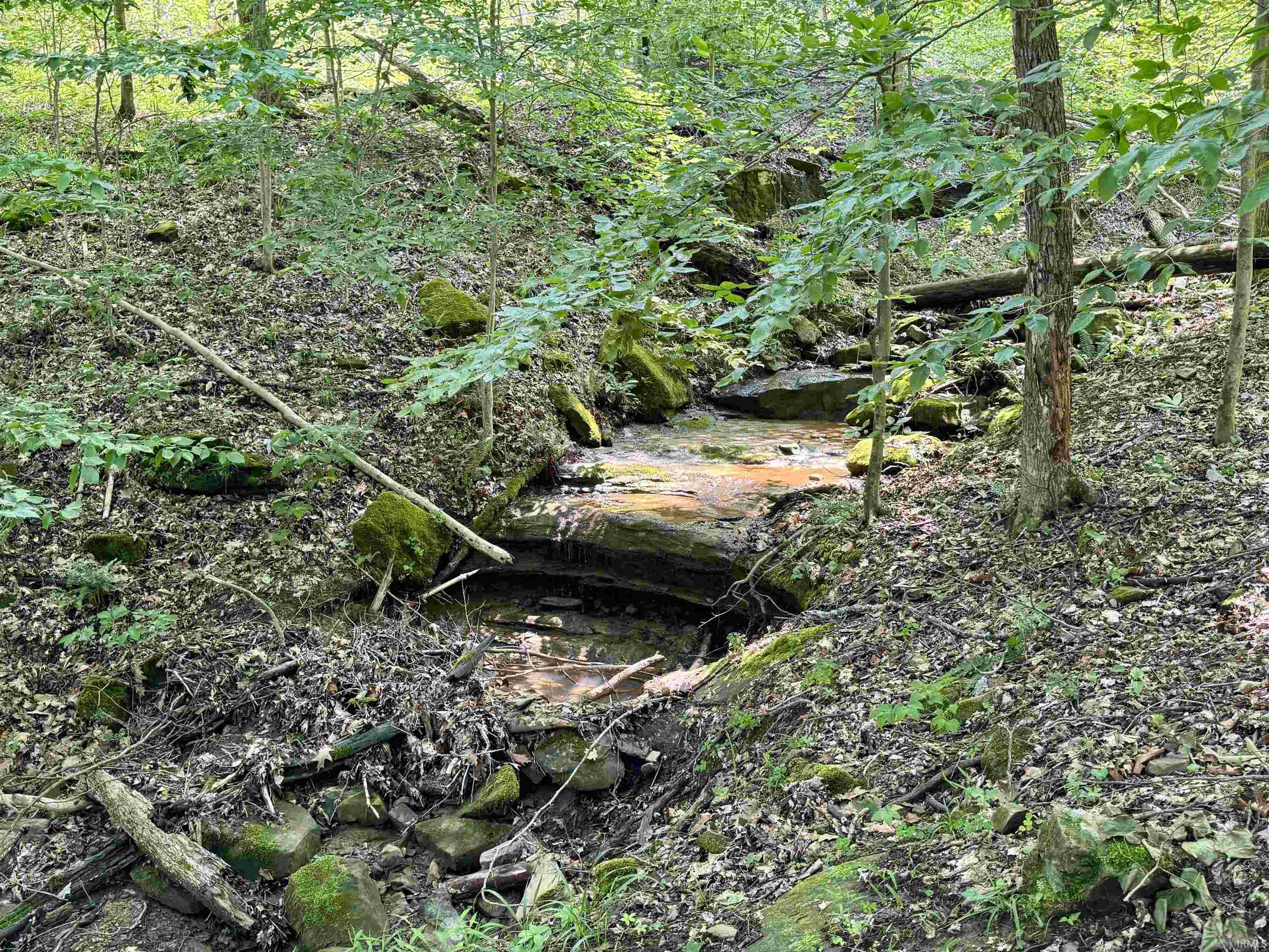 1 State Road 237 English, IN 47118 - Photo 14 of 18