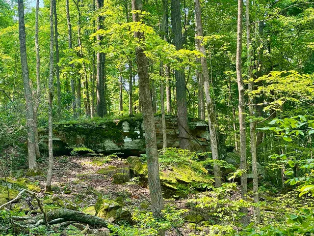 $216,480 | 1 State Road 237, English, IN 47118