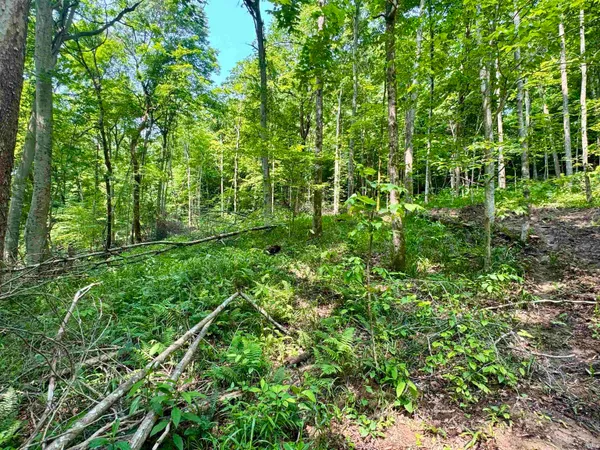 $231,900 | 1 State Road 237, English, IN 47118