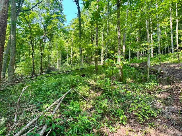 $216,480 | 1 State Road 237, English, IN 47118